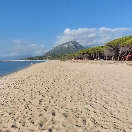 Corallo * Орозеи