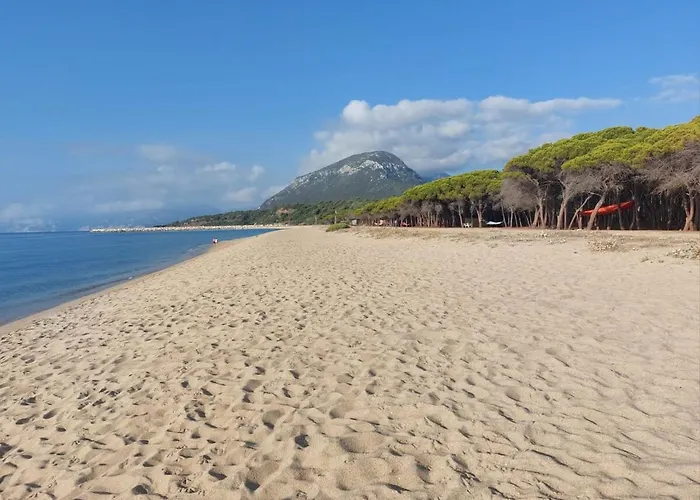 Corallo * オロゼーイ